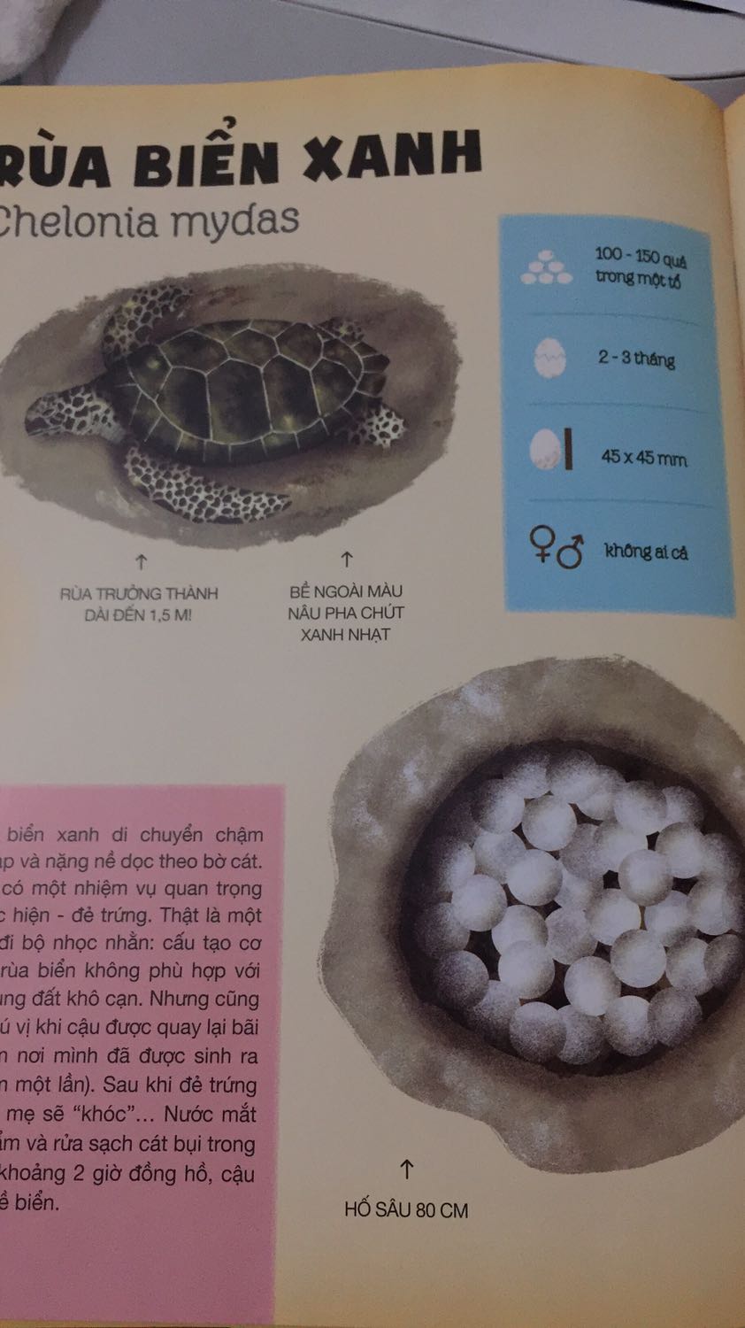 Cuốn sách rất đẹp với giấy láng bóng, hình minh họa nghệ thuật v tất nhiên là những thông tin thú vị nữa❤️