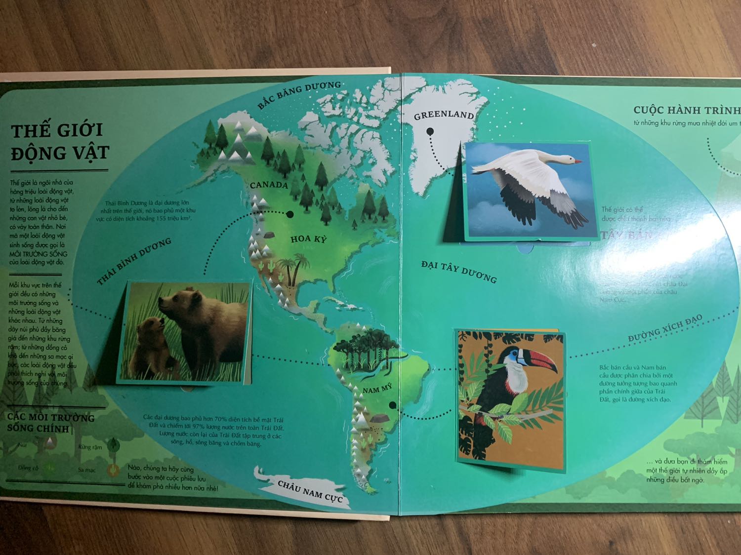 Sách in đẹp, bìa dày.
Nhiều thông tin về các loài động vật hoang dã.
Có nhiều miếng lật mở bé nhà mình rất thích.