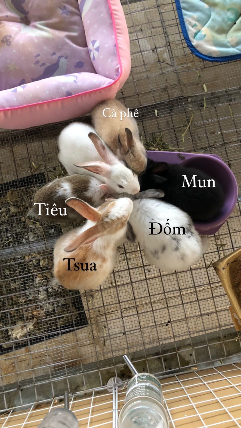 Chất lượng sản phẩm tuyệt vời, đóng gói sản phẩm chắc chắn :))