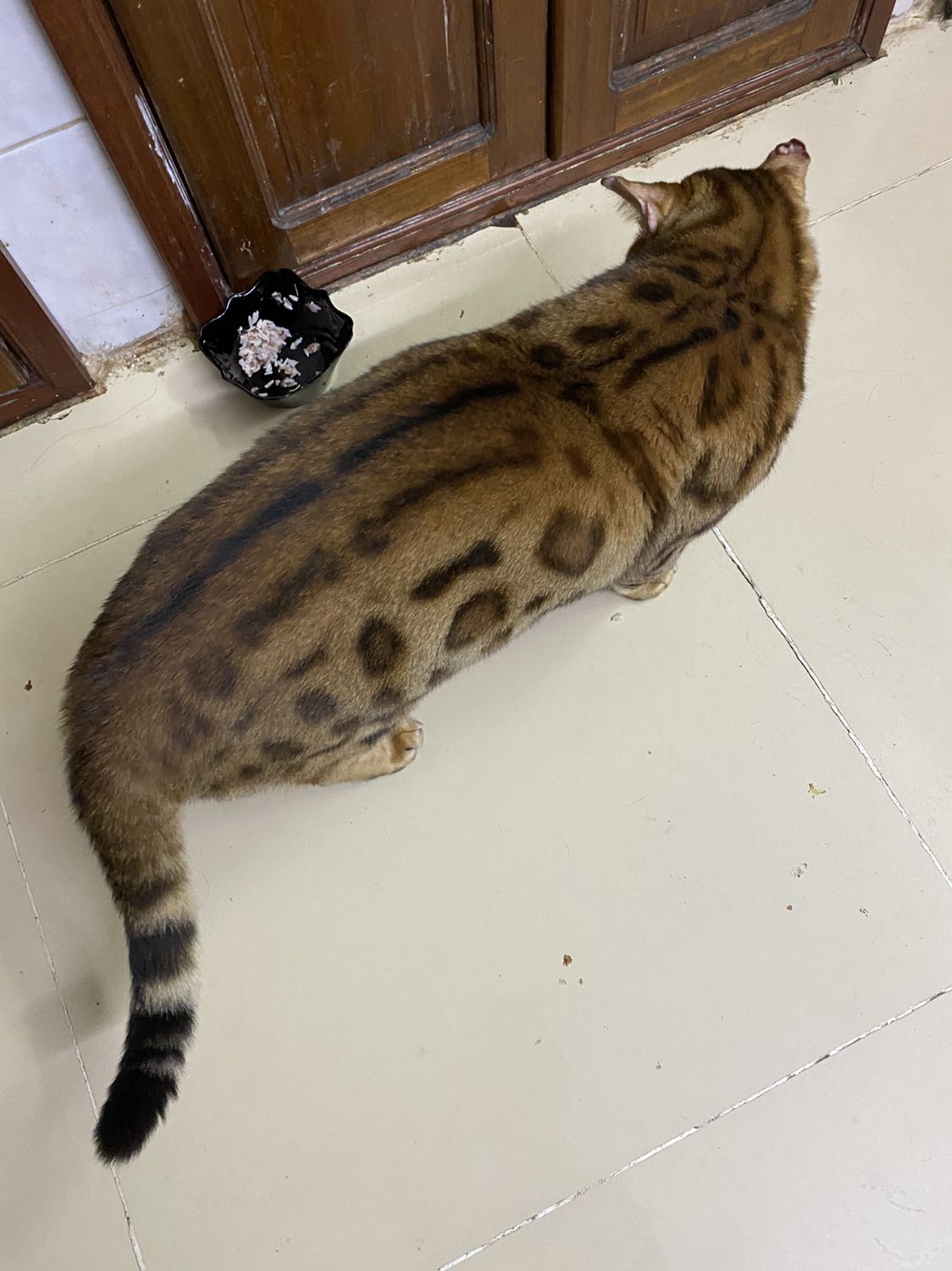 Kem dưỡng mắt hơi nhờn một chút, nhưng xài tốt. Kem dưỡng mắt hơi nhờn một chút, nhưng xài tốt.