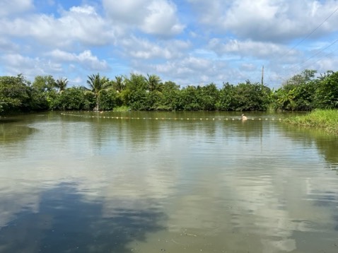 Giao hàng nhanh, chất lượng tốt.