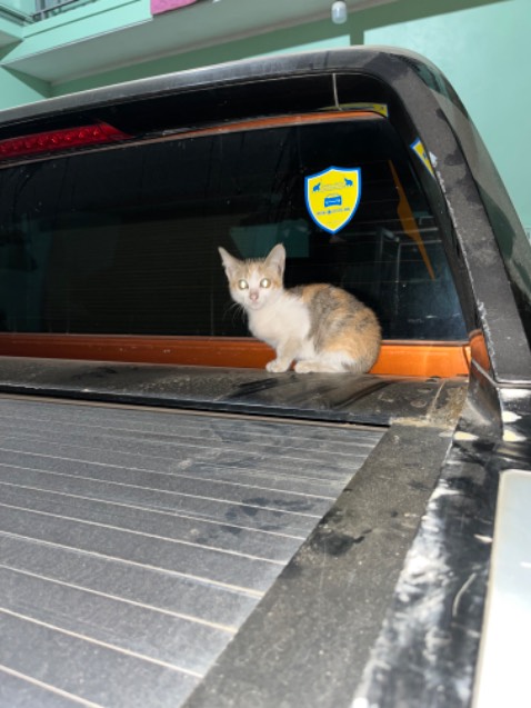 Sản phẩm đúng như hình, giao hàng đúng lịch, anh shipper thân thiện