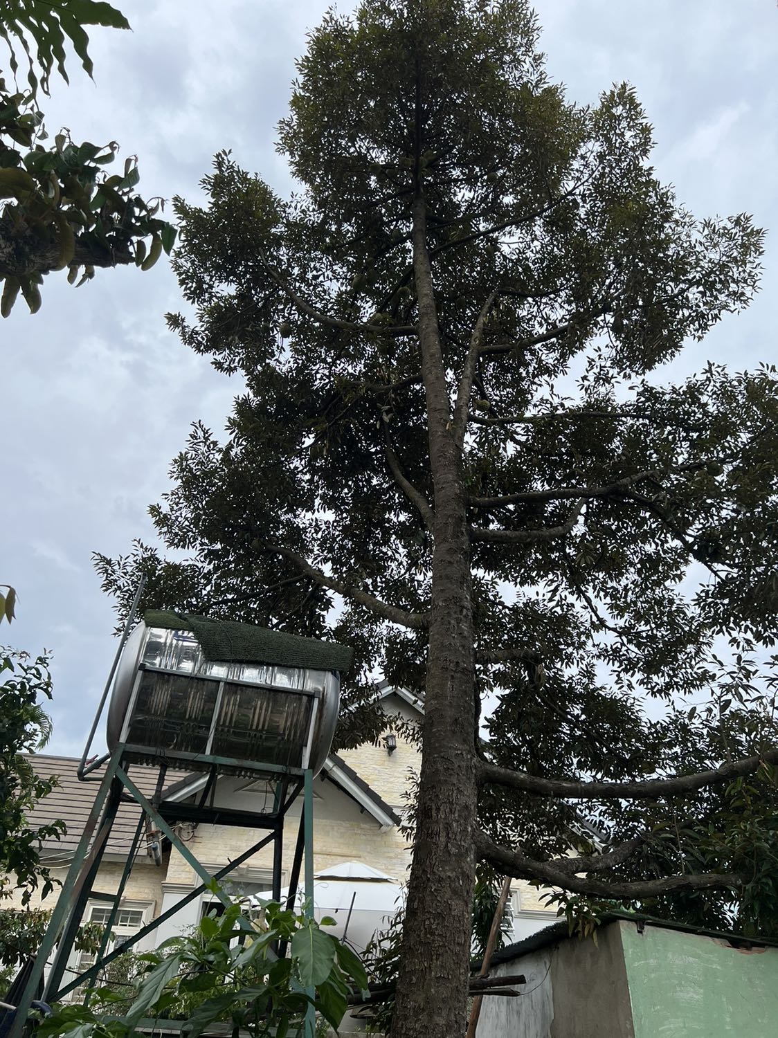 Hàng tốt...... Xài tốt, Hàng tốt...... Xài tốt, Hàng tốt...... Xài tốt, Hàng tốt...... Xài tốt, Hàng tốt...... Xài tốt, Hàng tốt...... Xài tốt, Hàng tốt...... Xài tốt, Hàng tốt...... Xài tốt, Hàng tốt...... Xài tốt, Hàng tốt...... Xài tốt, Hàng tốt...... Xài tốt, Hàng tốt...... Xài tốt, Hàng tốt...... Xài tốt, Hàng tốt...... Xài tốt, Hàng tốt...... Xài tốt, Hàng tốt...... Xài tốt,