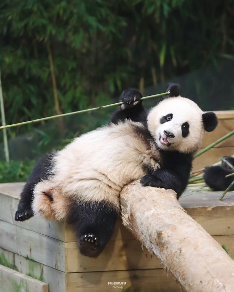 Dễ sử dụng, nhiều chế độ sấy, giao hành nhanh