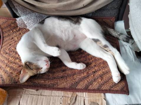 Đầu tiên cũng ngại vì màu sắc rực rỡ quá. Nhưng thấy tụi nhóc ăn ngoàm ngoàm, ị ra xanh lè luôn
tính ra mua tới bịch thứ mấy luôn, cái gì tụi nhỏ khoái thì cho nhăm nhăm thôi