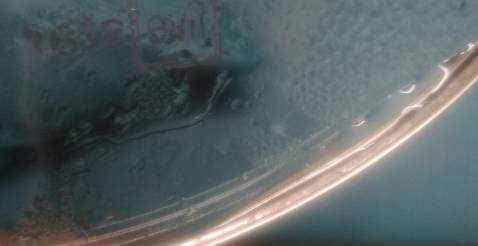 Sản phẩm nhìn chung mẫu mã đẹp, vừa vặn size nồi 24cm, nắp có chữ five star, chắc chắn. Tuy nhiên có một điểm không vừa ý làm rớt 1* do nắp thiết kế có cái gờ, gờ này sau một thời gian sẽ vệ sinh khó do các thứ bị kẹt trọng kẽ hở và đọng nước. nếu làm dạng phẳng suốt thì tốt hơn, đang có ý định đổi qua nắp inox do nó phẳng suốt dễ vệ sinh, không hoàn toàn vừa lòng lắm.