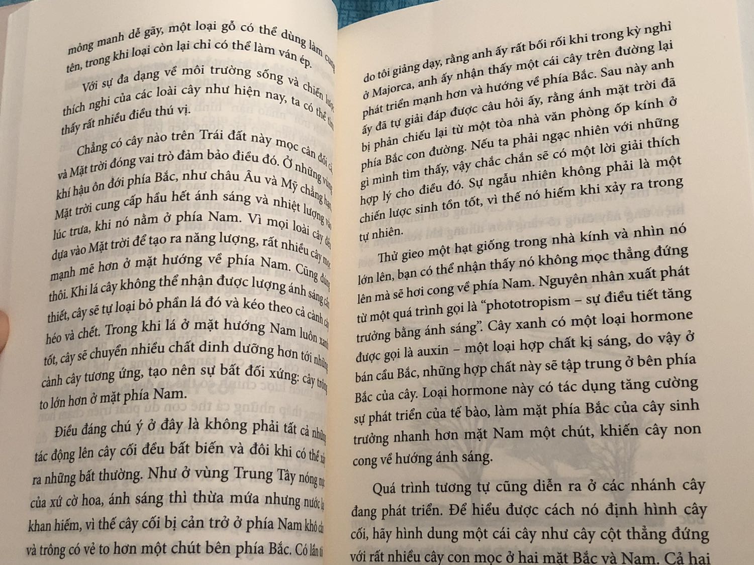 Một cuốn sách tuyệt vời khiến ta thấy được thiên nhiên gần gũi và cũng thú vị như thế nào. Ví dụ như, một chi tiết nhỏ mà ta có thể không để ý, lại nói lên cả một hệ sinh thái được hình thành từ mấy ngàn năm, hoặc cách đặt tên cho thực vật cũng có những nguyên tắc, nguồn gốc hoặc điểm chung nhất định. Kiến thức cung cấp trong sách vô cùng hữu ích, sau khi đọc xong nhất định sẽ khiến mọi người để tâm đến thiên nhiên quanh mình hơn, hoặc là có cảm giác muốn đi du lịch nhưng là để được trải nghiệm, tận mắt nhìn thấy những gì mà tác giả cuốn sách đã đưa ra.