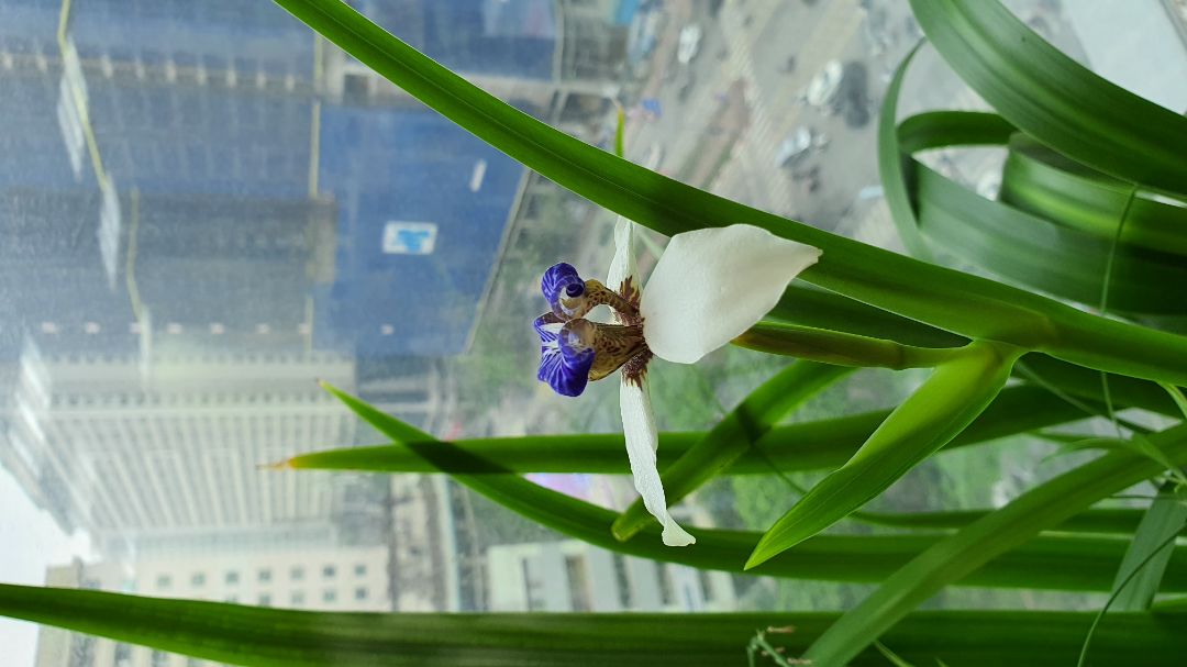 Rất hài lòng với cuốn sách này