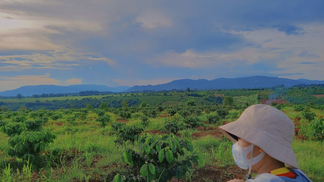 sách tốt, hiệu quả lắm ạ, nhưng mà mẹ em nhận ở nhà, còn em đang ở ngoại 🥲🥲🥲