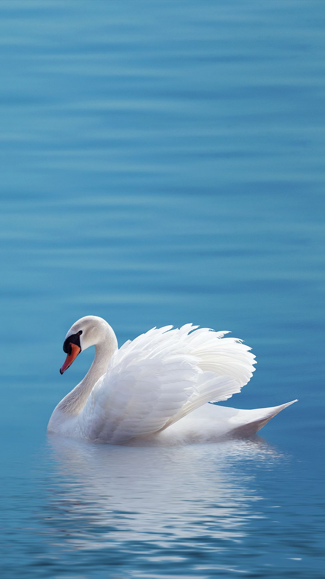 tiện lợi chắc chắn