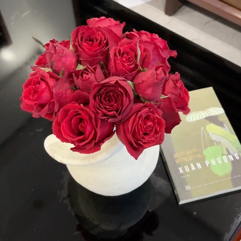 Việt Nam - nơi những người phụ nữ anh hùng.

Gánh gánh gồng gồng 
Gánh sông gánh núi
Gánh củi gánh cành 
Ta chạy cho nhanh 
Về xây nhà bếp
Nấu nồi cơm nếp
Chia ra năm phần…
…Gánh gánh gồng gồng…

Được PGS.TS Trần Thị Thu Hoài gợi mở tìm đọc cuốn sách “Gánh Gánh Gồng Gồng”. cô Hoài nói rằng, đối với cô đây là quyển sách hay nhất. Khi nghe cô nói vậy mình đã rất tò mò. Lại còn vì tên sách rất hay, nhẹ nhàng mà vần nhịp. Mai Khuê đã âm thầm cho vào waitlist...

Tìm mua cuốn sách không hề dễ dàng. Mình mê tít cảm giác lượn lờ rất nhiều hiệu sách đi tìm Gánh Gánh Gồng Gồng. Nhưng không có, đành ngậm ngùi đặt Tiki, không thích mua sách online nhưng phải thừa nhận sách Tiki rất chất lượng.

Đọc rồi để thấy hóa ra có cuộc đời Việt Nam nghị lực và phi thường đến thế. Có thể bạn không biết bà Xuân Phượng nhưng khi nhắc đến một số người bạn tiêu biểu của bà, tôi cá chắc rằng bạn sẽ thấy cuộc đời người phụ nữ này “đỉnh” đến mức nào. Bà thân thiết gọi cụ Trần Đại Nghĩa, cụ Chế Lan Viên là anh, là cô y sĩ đích thân Bác Hồ dặn dò nếu làm tốt thì có thưởng, là người bạn thân thiết của nhiều danh nhân trên thế giới như Joan Baez hay Jane Fonda. Vân vân và vân vân các nhân vật lẫy lừng khác. Nói vậy để bạn mường tượng ra tầm vóc kiêu hãnh của người phụ nữ này.

Cuốn sách là câu trả lời cho câu hỏi, sự lạc quan sẽ đưa ta đi xa đến đâu. Cái gì không làm được, thì vừa khóc vừa làm. Kiên trì, bền bỉ trườn mình qua gai chông để hái quả ngọt là những gì mình học được từ bà Xuân Phượng. Cuốn sách rất phù hợp với phụ nữ, phải sống hiện đại, sống trọn từng giây từng khắc như thế. 

Là hồi ký khiến mình suy tư nhiều nhất năm nay, và sẽ còn đọc lại lần nữa, lần nữa trong tương lai.