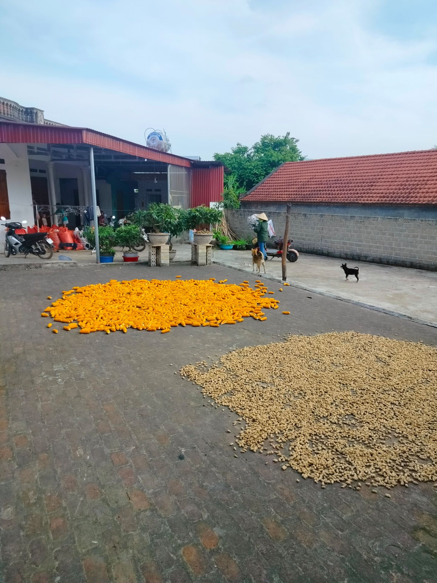 x 1 2 3 4 5 6 7 8 9 10 11 12 13 14 15 16 17 18 19 20