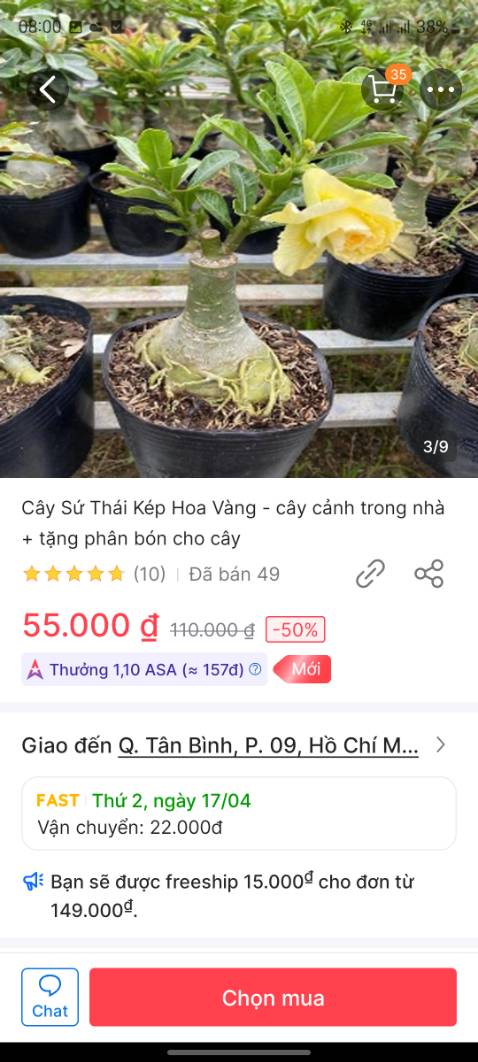 Cây ko giống màu.Chọn mua cây màu vàng nhưng giao cây màu đỏ hay hồng gì đó.Lúc giao cây trơ trụi không có lá chỉ được gốc cây.Trồng mãi mới ra hoa.Hoa ra rồi THẤT VỌNG QUÁ