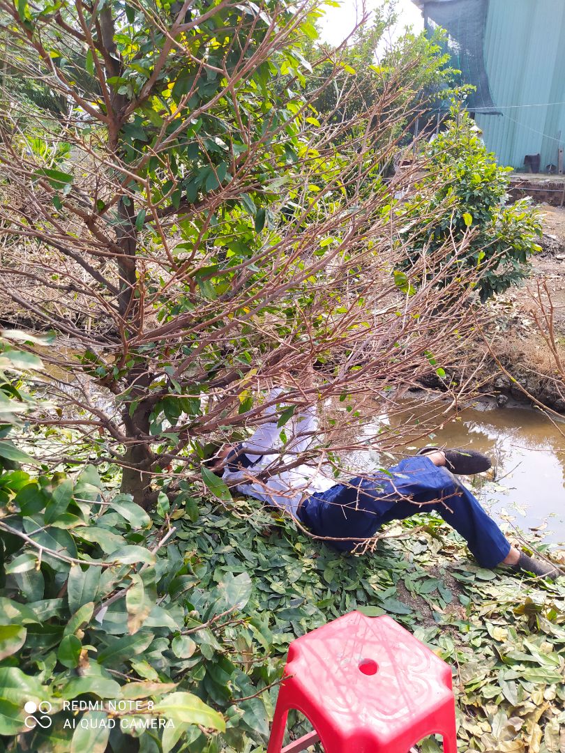 nho gọn dễ sử dụng