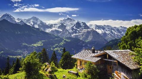 vòi sen dùng khá là OK.