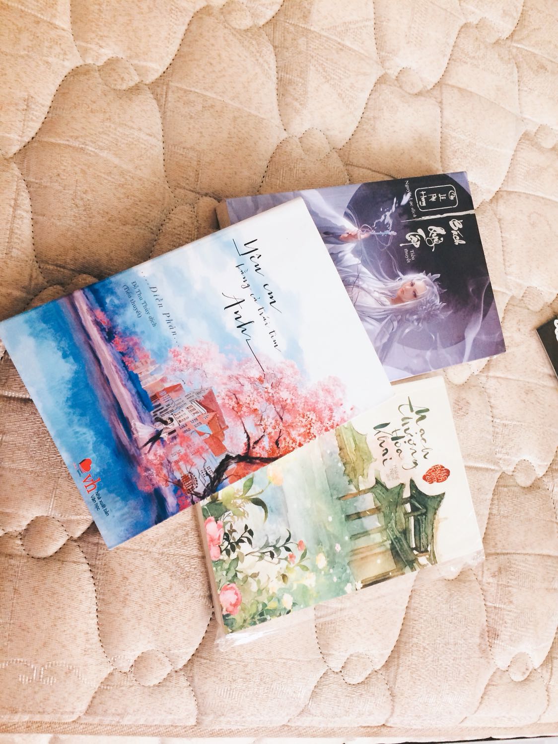 . Hài lòng - đương nhiên - lời văn hay , đúng chứ ? Tác giả sử dụng ngôn từ rất hay , miêu tả được vẻ cực phẩm của Thầy Đàm , sự ngây thơ pha chút ngỗ ngược của Em Gái Tiểu Quang :))) nhưng cuộc sống của Triệu Thuỷ Quang có chút hơi quá là êm đềm . Cũng không phải là quá lâm li , cay đắng hay đau từng đoạn ruột khi đọc từng chữ chứ nhỉ , cuộc sống cứ êm đềm , anh thương cô ấy , cô ấy cũng thương anh . Cực phẩm ?! 
. Không hài lòng - Tiki sao lại đối xử với em như vậy .-. Sách nhăn , dơ ở góc hết rồi .-.