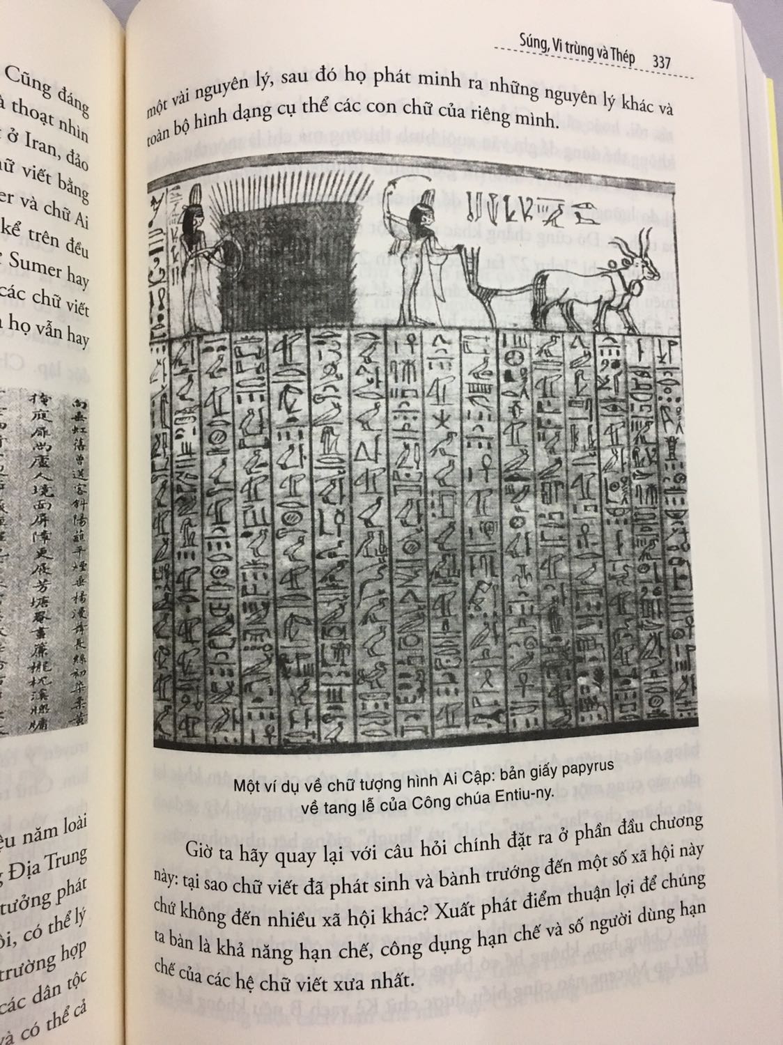 Lúc chờ sách mình vô cùng hồi hộp, ko biết sẽ nhận đc bản cũ hay bản mới, liệu sách có bị lỗi gì ko. Nhưng thật may mắn, cuốn sách mình nhận đc là phiên bản mới nhất, đc tái bản vào năm 2020, sách sạch đẹp ko dính lỗi gì. 
Đây là cuốn sách mà mình thấy rất nhiều bạn recommend. Sách dày, nhưng có xen kẽ tranh ảnh và biểu đồ,...minh hoạ để độc giả dễ tiếp cận hơn với lượng thông tin rất lớn. 
Hy vọng cuốn sách này đến được với thật nhiều những người bạn đam mê lịch sử, văn minh nhân loại.