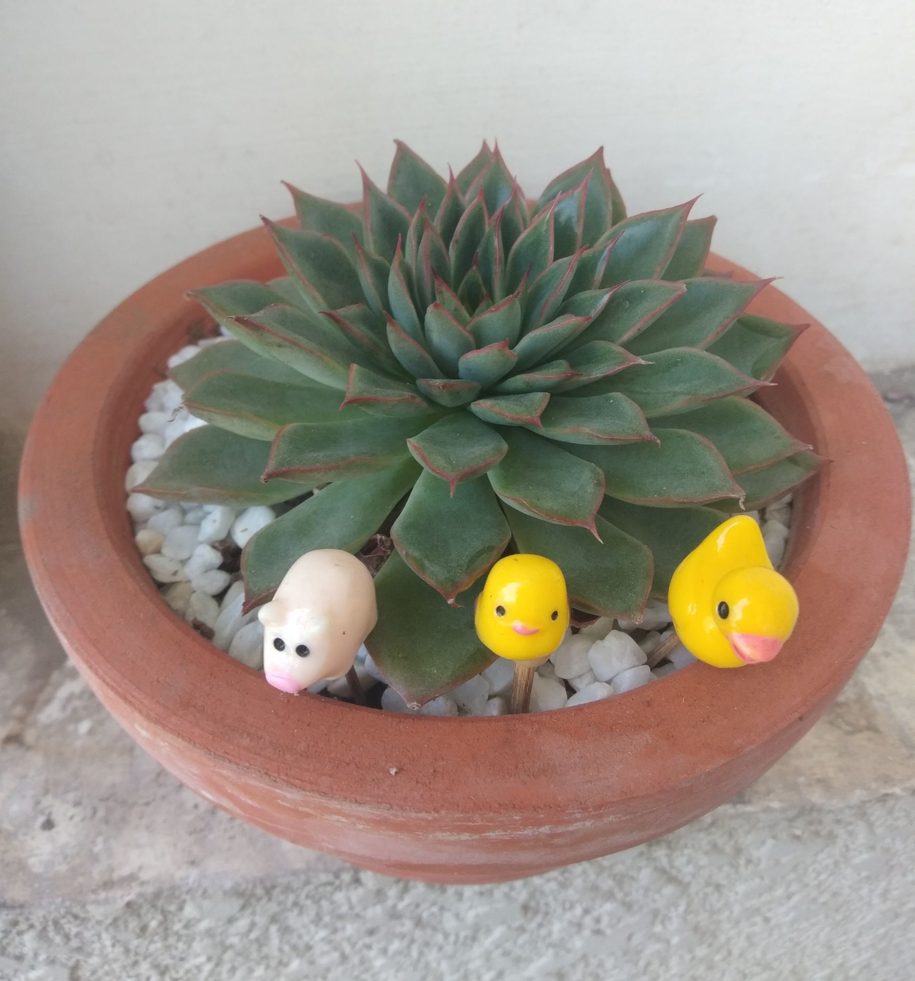 Một quyển có đến 30 hình mẫu để cho bé tô màu,vẽ rõ nét,tranh phù hợp tuổi, bé rất thích.