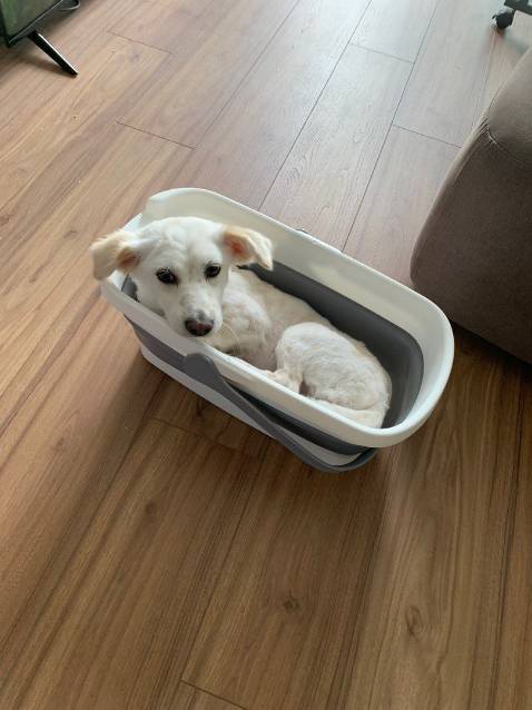 Không thể chấp nhận được, sao ko có 10 sao để đánh giá luôn đi. Tín đồ của band này lâu rồi, nhà từ máy hút bụi đến cây lau nhà, máy sấy tóc,...vân vân mây mây ^^ Cứ thấy có sản phẩm mới là khuôn về nhà liền :v  Sản phẩm thì chưa bao giờ làm mình thất vọng, nhựa dầy dặn chắc chắn màu sắc đẹp sang, giá thành okila, thiết kế gấp gọn thông minh dễ dàng sắp xếp không tốn diện tích. Đa năng tiện dụng để đồ đạc các thứ cũng thuận mắt, chắc phải mua thêm cái nữa mới được ^^