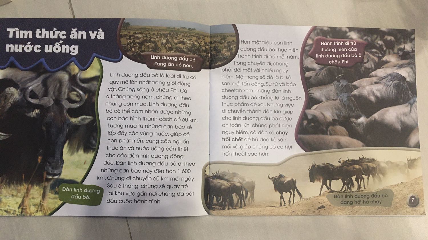 Tiki giao hàng nhanh. Nội dung đơn giản, dễ hiểu. Hình ảnh sống động, hấp dẫn.