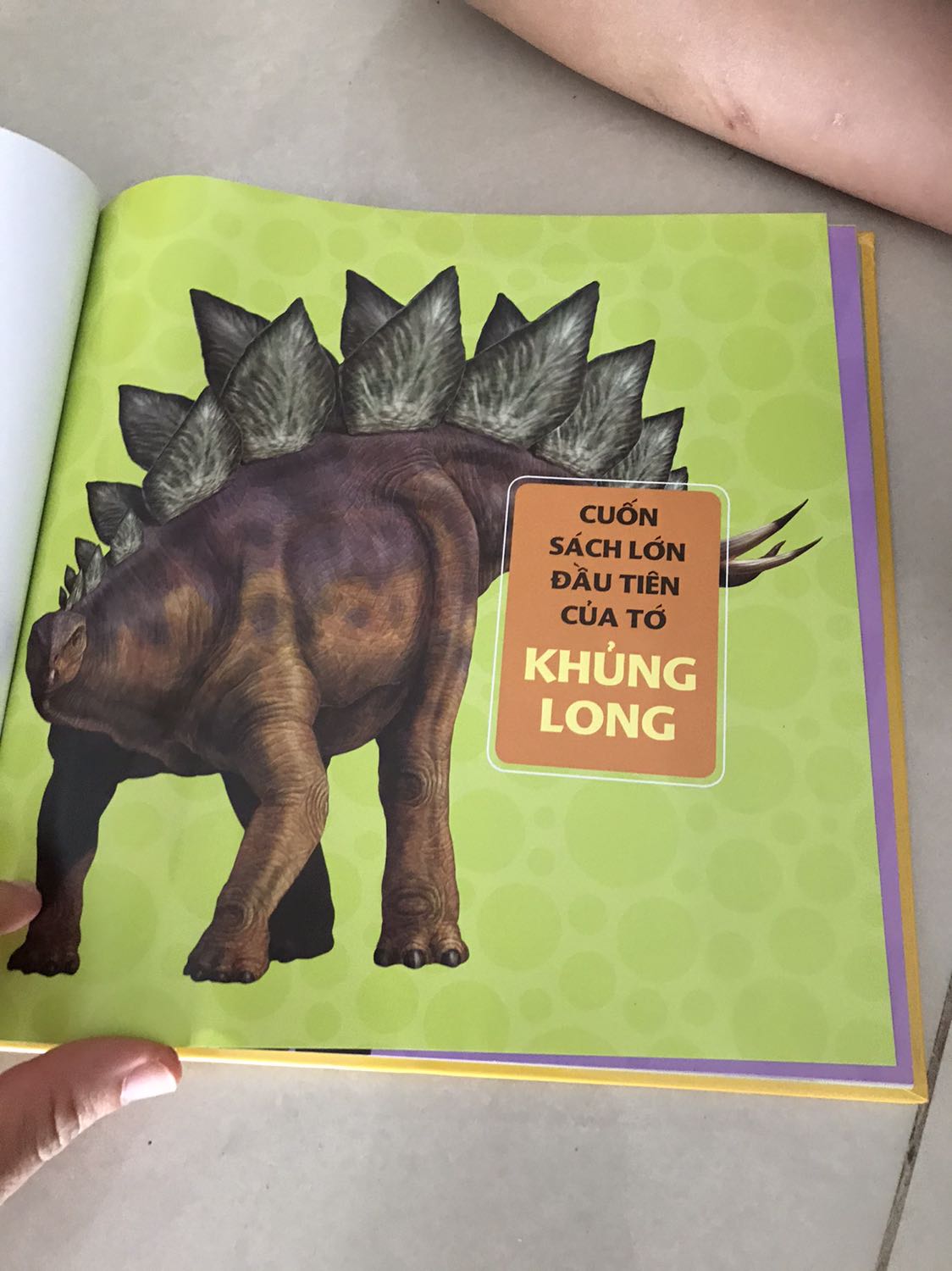 Sách dày dặn giấy đẹp. Phù hợp nếu bé yêu thích khám phá thế giới khủng long.  Rất nhiều loại khủng long mà người lớn chưa hẳn đã biết. Tuy nhiên tên dài khó đọc nên bé sẽ khó nhớ.