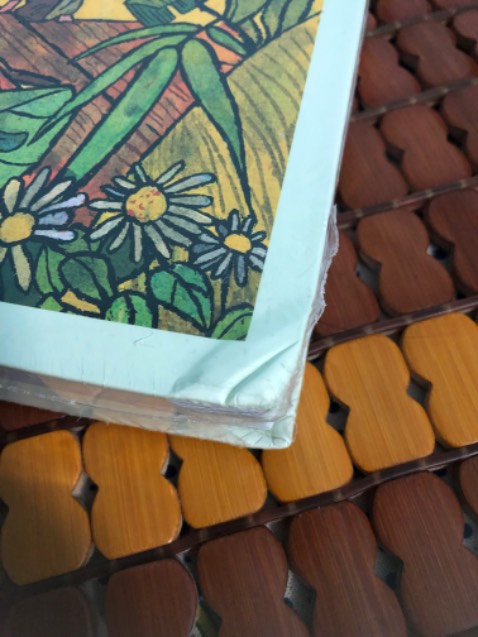 Đóng gói quá sơ sài, chỉ có mỗi cái hộp không với mấy sợi giấy, hình như thiếu mất cái bìa bên ngoài hay sao ấy, không có giới thiệu tác giả như cuốn tuổi thơ dữ dội mình mua, mùi giấy khá gay mũi, giấy màu trắng xanh chứ không ngà vàng giống mấy cuốn sách khác, sách có hình minh hoạ. Sách bị móp và hư nhiều chỗ, mình sửa mãi không được luôn. Nói chung mình không chim ưng tẹo nào