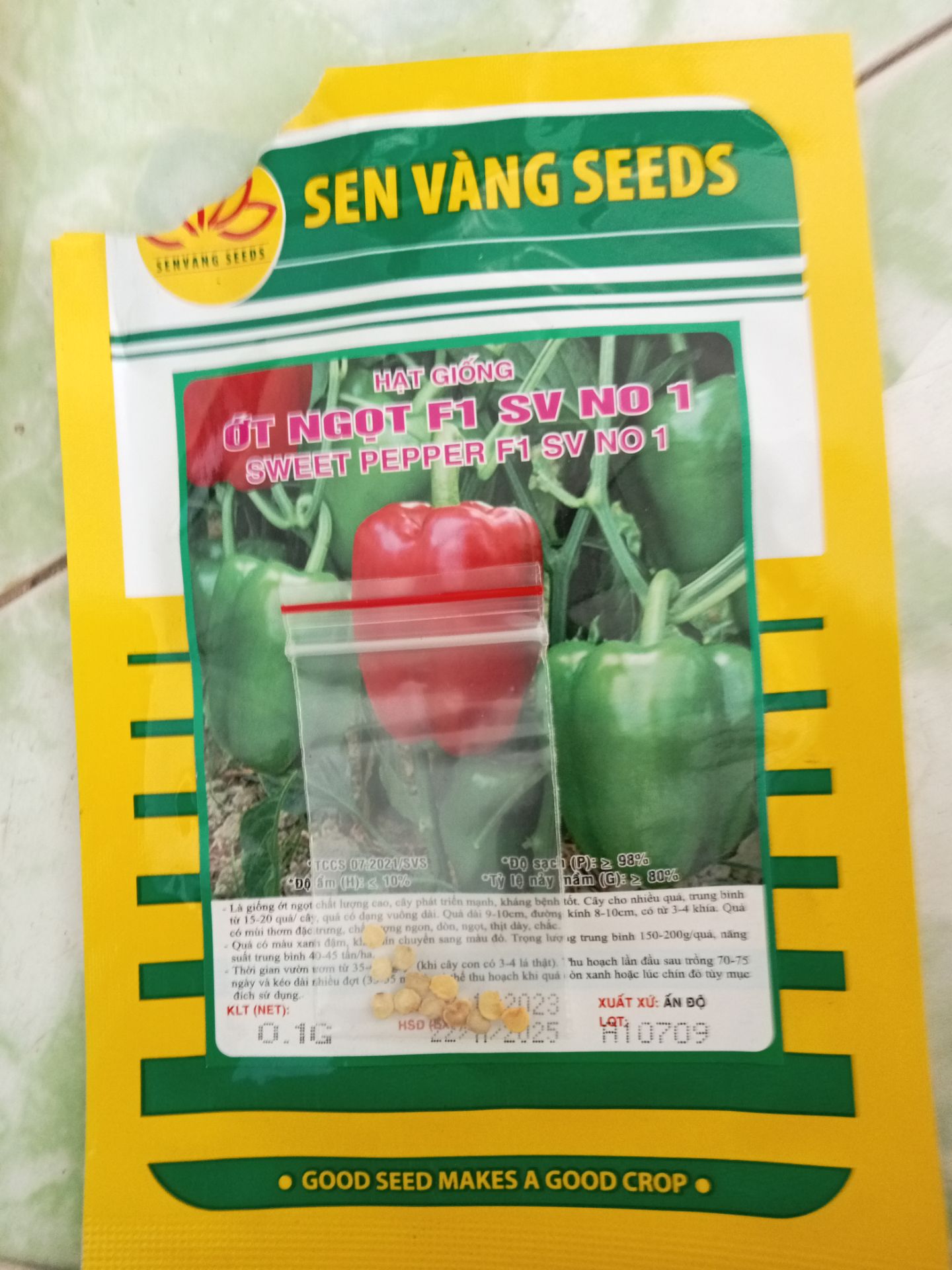 ra siêu thị mua vài quả về ăn vẫn có hạt trồng, với 12 hạt thì vẫn quá ít