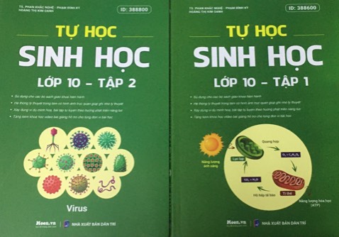 Nội dung hay dễ hiểu