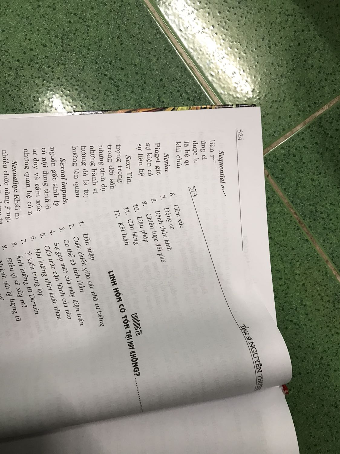 Sách in lỗi thứ tự trang nhiều. Gần nửa số trang là chỉ giải thích các từ tiếng anh chuyên ngành. Đây không phải là một cuốn từ điển, cũng không phải một tài liệu chuyên ngành, chỉ là cưỡi ngựa xem hoa