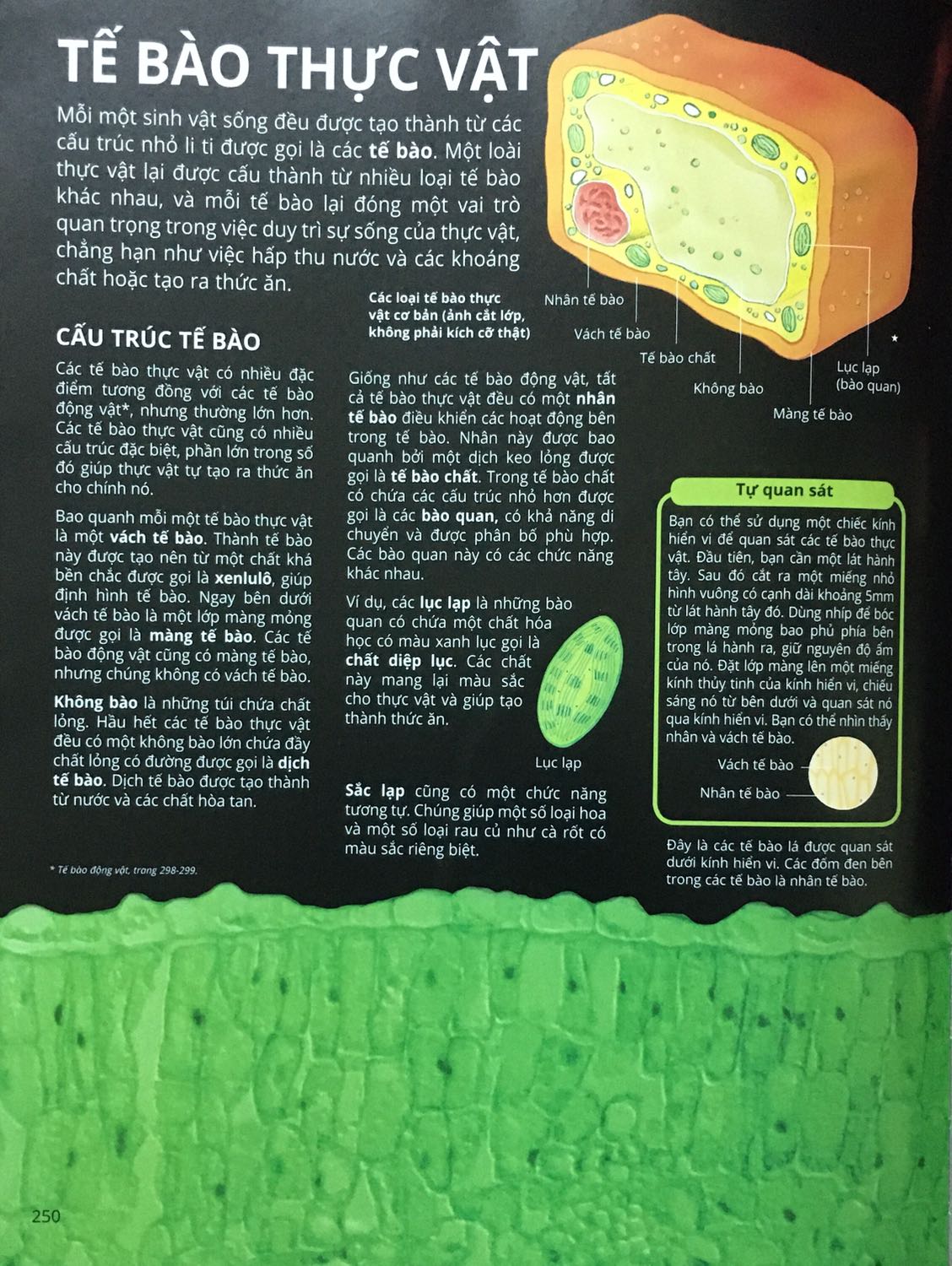 Sách cung cấp thông tin cơ bản rất tốt. Đặc biệt hình ảnh rất đẹp dễ hình dung và có kèm theo link hoặc mã QR để xem video ở mỗi bài, giúp người đọc hiểu rõ hơn. Nhưng một số ít video  k xem đc vì quyền truy cập. Nếu có thể xem hết đc thì rất hay.