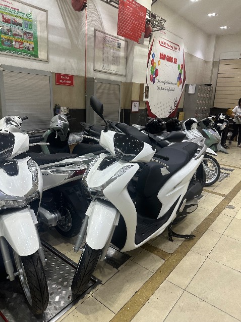 Xe đẹp Xe đẹp