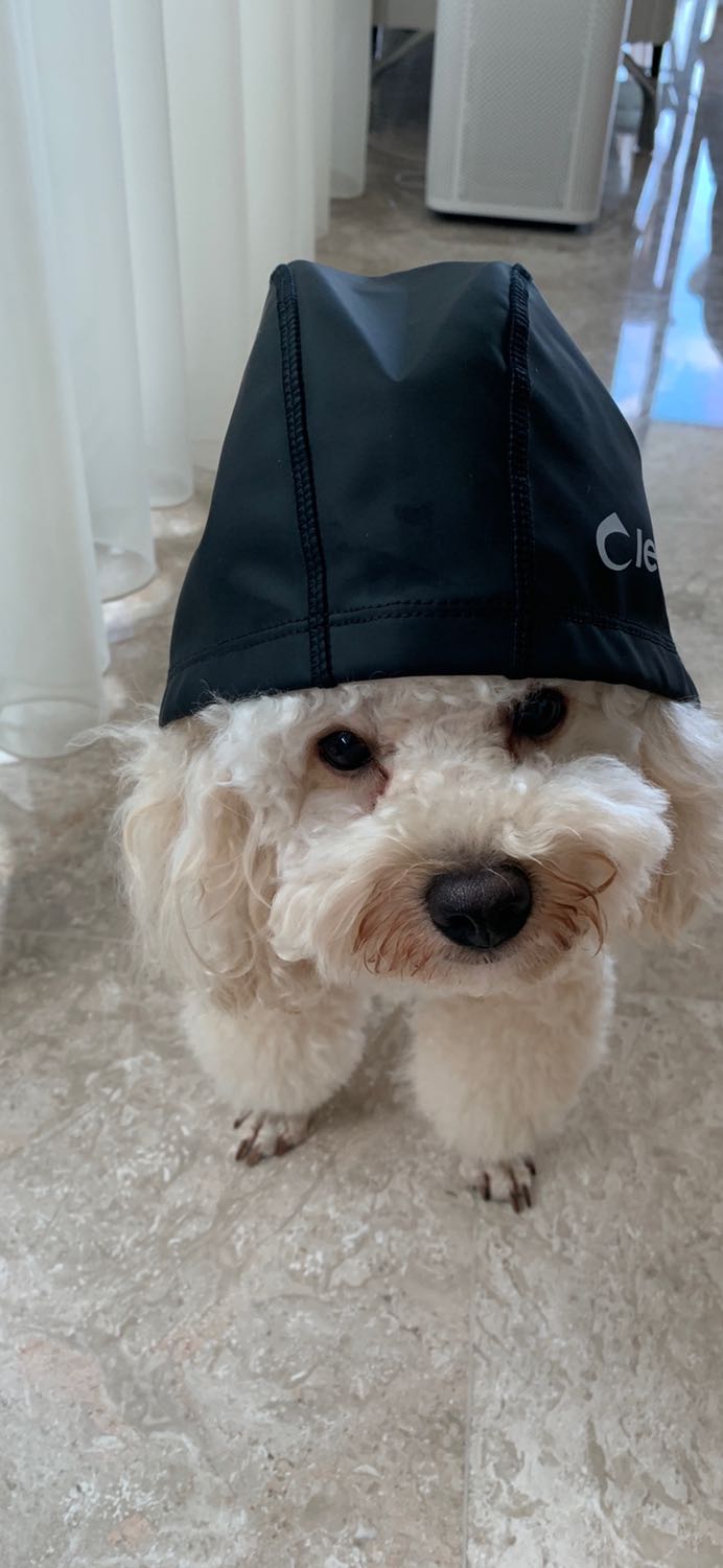 Mũ rộng, không bó, nhưng vải thấm nước nên tóc vẫn bị ướt. Mũ rộng, không bó, nhưng vải thấm nước nên tóc vẫn bị ướt.