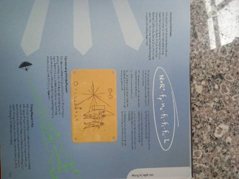 Sách rất đẹp, sinh động và hay.