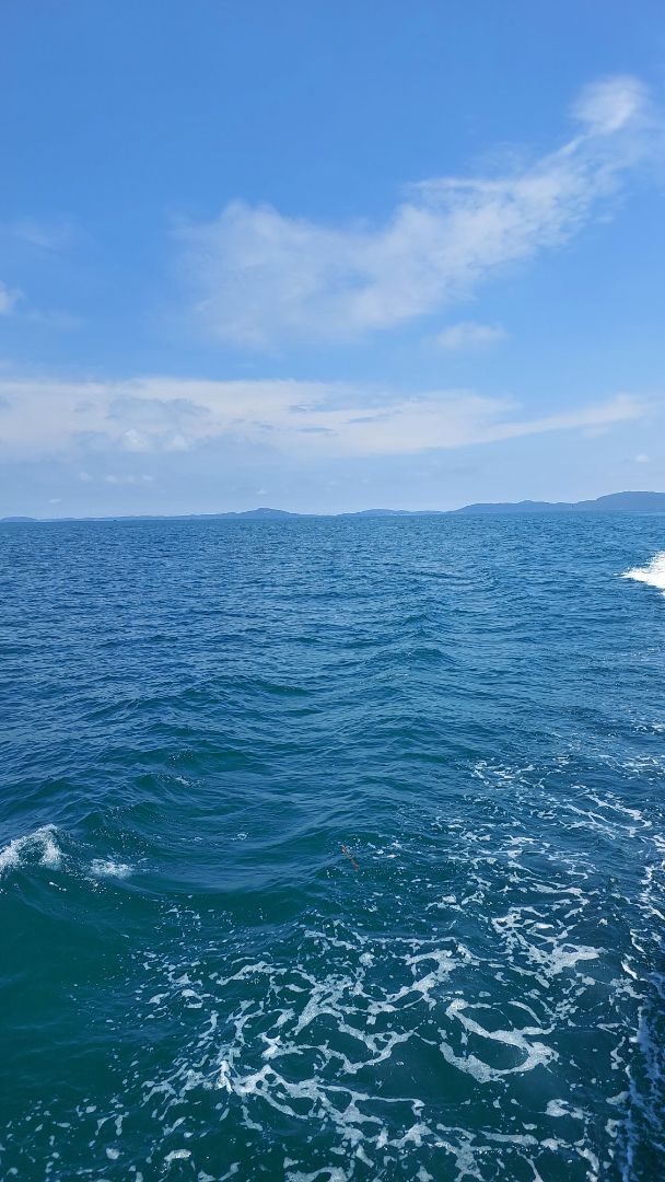 san pham dung on, giao hang dong goi can than, chat luong phải dùng 1 thời gian miwis biết