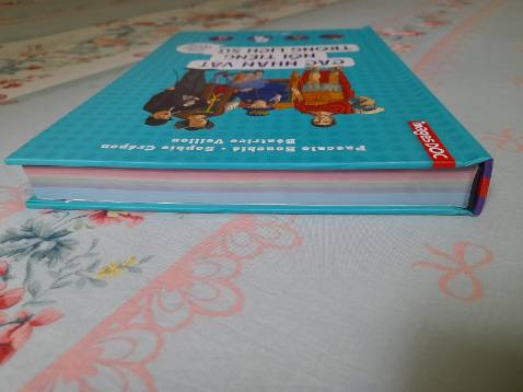 Cuốn thứ 2 trong bộ Images DOC mình mua. Sách bìa cứng siêu dày, in màu trên giấy bóng đẹp cực kỳ. Nội dung là những câu chuyện về các nhân vật lịch sử từ Cổ đại đến Hiện đại nhưng không hề khô khan mà thể hiện bằng truyện tranh nên rất dễ đọc và dễ nhớ. Tiki dạo này ship nhanh ghê, từ HCM ra HN mất có 2 ngày, nhưng mà cái hộp thì nát bét. May mà sách bìa siêu cứng nên không ảnh hưởng gì.