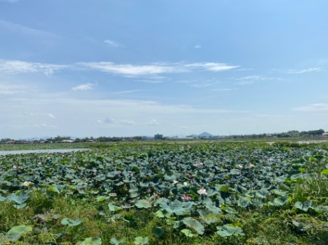 ok hàng đóng gói cẩn thận, sữa mua cho ba mẹ, ngon!!