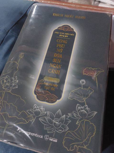 Tui quyển này vì có Chú giải Kinh Quán Niệm Hơi Thở, đó Sư Ông giảng. Nếu tu thiền sẽ hữu ích cho bạn!