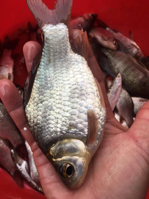 Shop giao hàng nhanh , ổn , hợp giá tiền