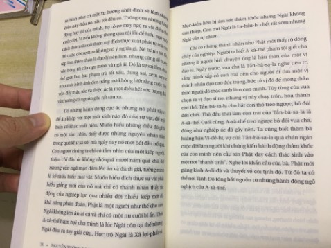 Nguyễn Tường Bách gây ấn tượng với mình đặc biệt với cuốn Lưới trời Ai dệt và Đạo của Vật lý và cuốn này của chú không khiến mình thất vọng dù mình biết đây chỉ là ký sự thể hiện con người tâm linh của chú. Sách dày và cuộc hành trình của chú đi rất nhiều nơi với nhiều cảm khái bắt nguồn từ các hiểu biết rộng của chú nên người đọc với vốn hiểu biết và vốn sống nông và ít thì sẽ nhanh chóng chán hoặc ngộp nhất là những khi chú đề cập đến đạo Phật. Lịch sử, tôn giáo và cuộc sống qua con mắt chú càng về cuối sách càng đậm chất huyền bí tâm linh khá thú vị. Cá nhân mình thích 1/3 đầu cuốn sách vì các hiểu biết lịch sử và xã hội của chú. Dù sao thì với mình, cuốn sách này cũng chỉ là một sách giải trí có chiều sâu ngang hàng các tác phẩm kỳ ảo lớn vì mình không tin chuyện thần phật. Với những ai không muốn mất thời gian tìm hiểu về đạo Phật thì đọc cuốn này cũng tương đối tổng hợp về đạo Phật và cá nhân mình thấy còn hay hơn cuốn ‘Vũ trụ quan Phật giáo - Triết học & Nguồn gốc’. Sách này đáng để trở thành tư liệu tham khảo hoặc truyền cảm hứng sáng tác cho những ai theo đuổi nhà văn, biên kịch hoặc tác giả truyện tranh.