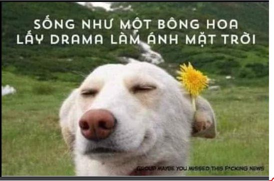 ảnh để nhận xu ảnh để nhận xu