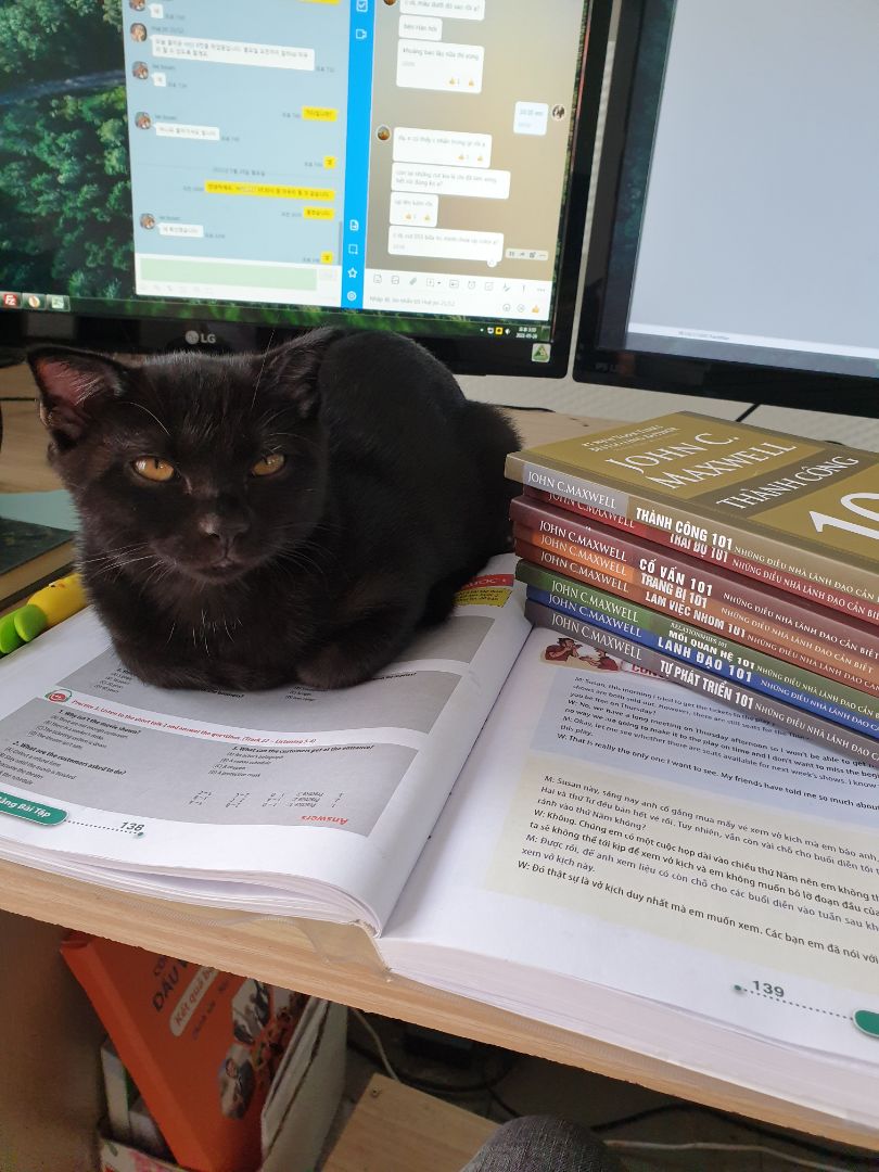 sách hay đág đồng tiền bát gạo. ai cũng nên đọc. rất phấn khích khi mua bộ sách