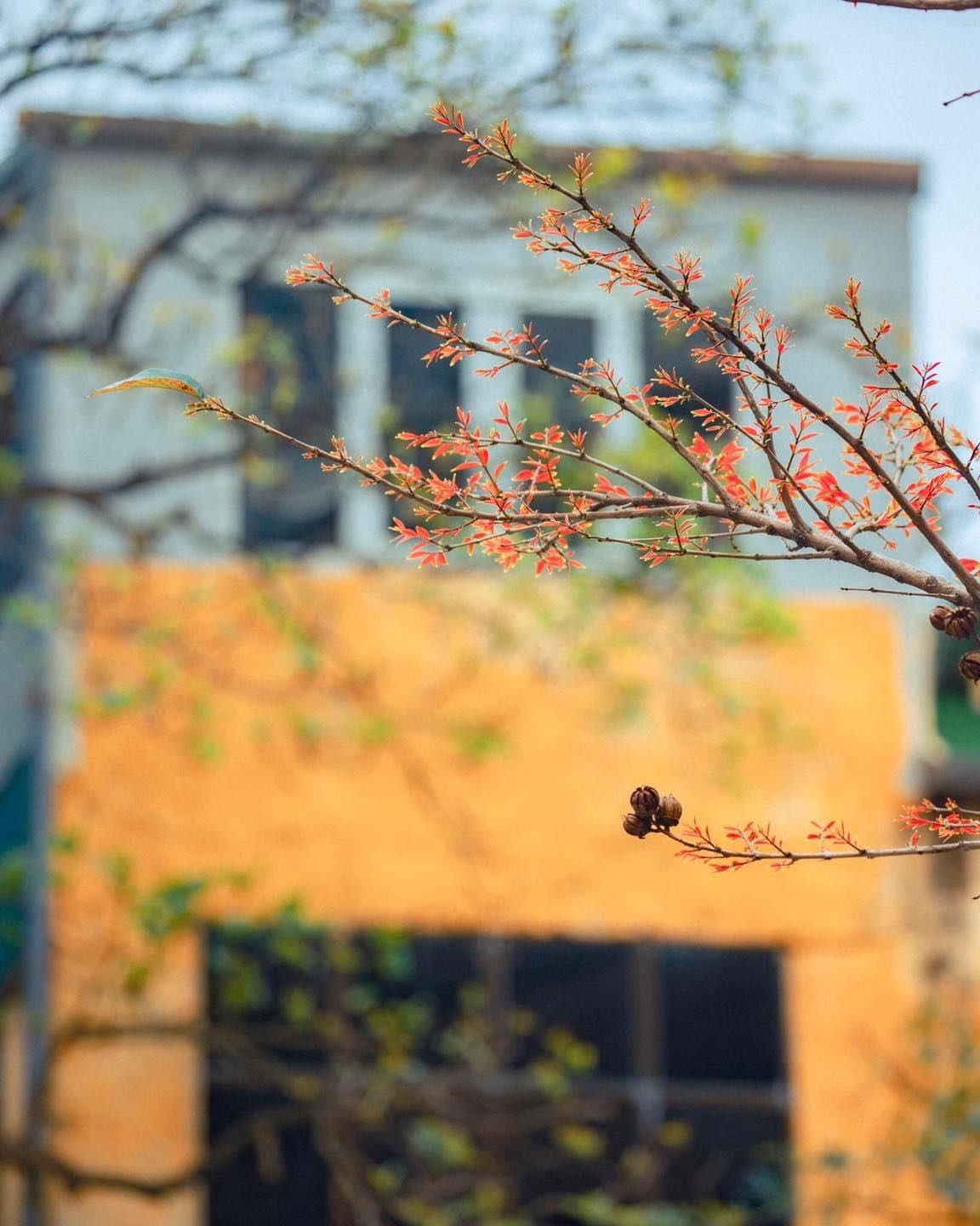 ảnh không liên quan, nhưng sách giao nhanh, đóng gói cẩn thận, có bọc 2 lớp