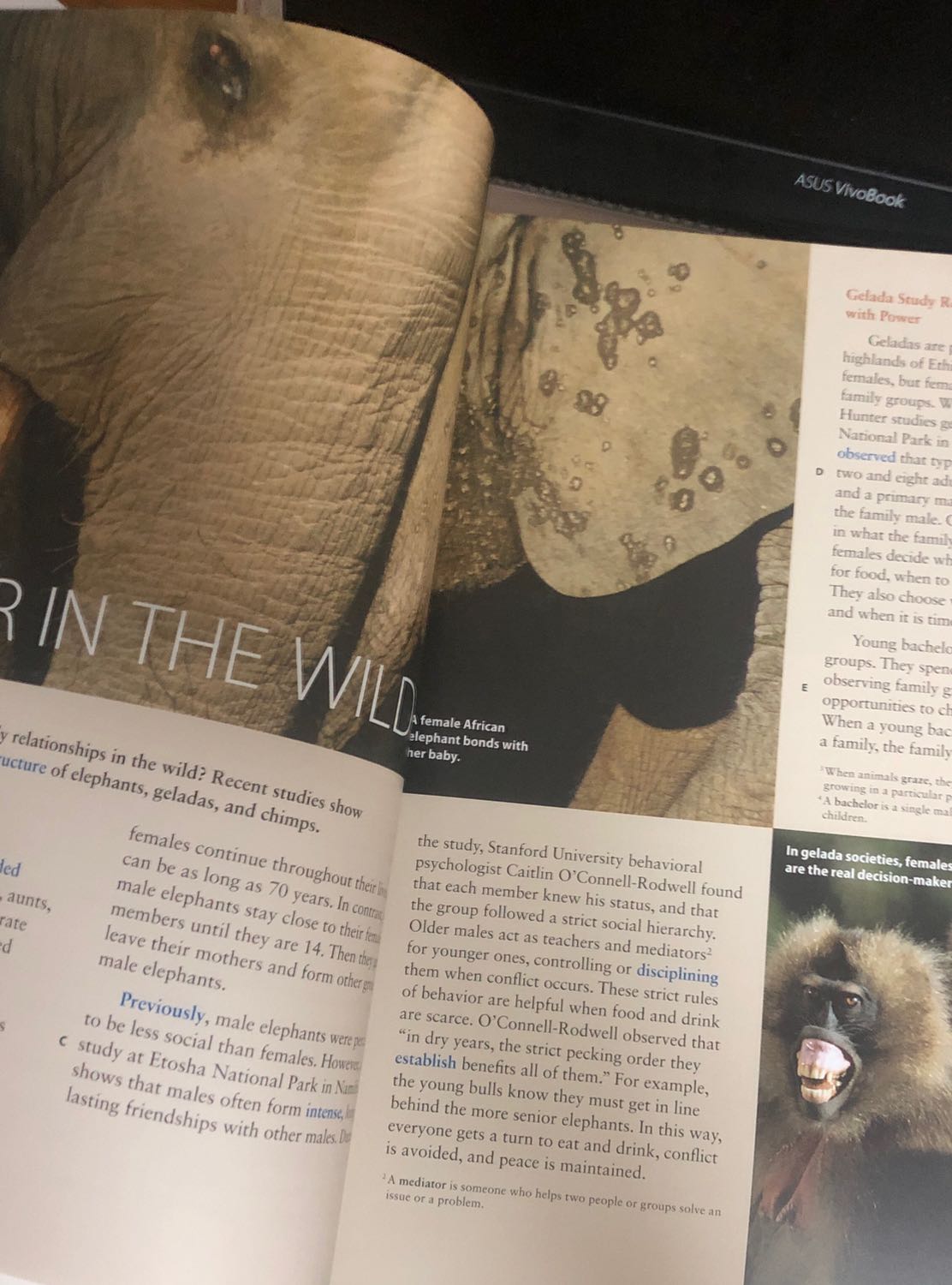 Sản phẩm đẹp, tình trạng tốt, không bị nhàu. 
Fahasa vẫn chuẩn như vậy! Sản phẩm đẹp, tình trạng tốt, không bị nhàu. 
Fahasa vẫn chuẩn như vậy!