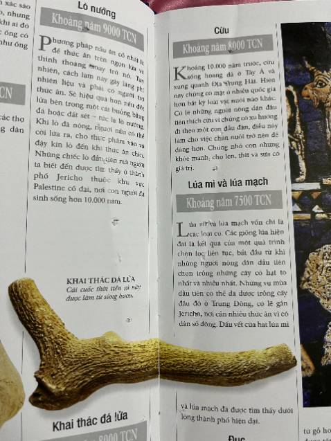 Sách đóng bị lỗi, bị lỗ hết quyển