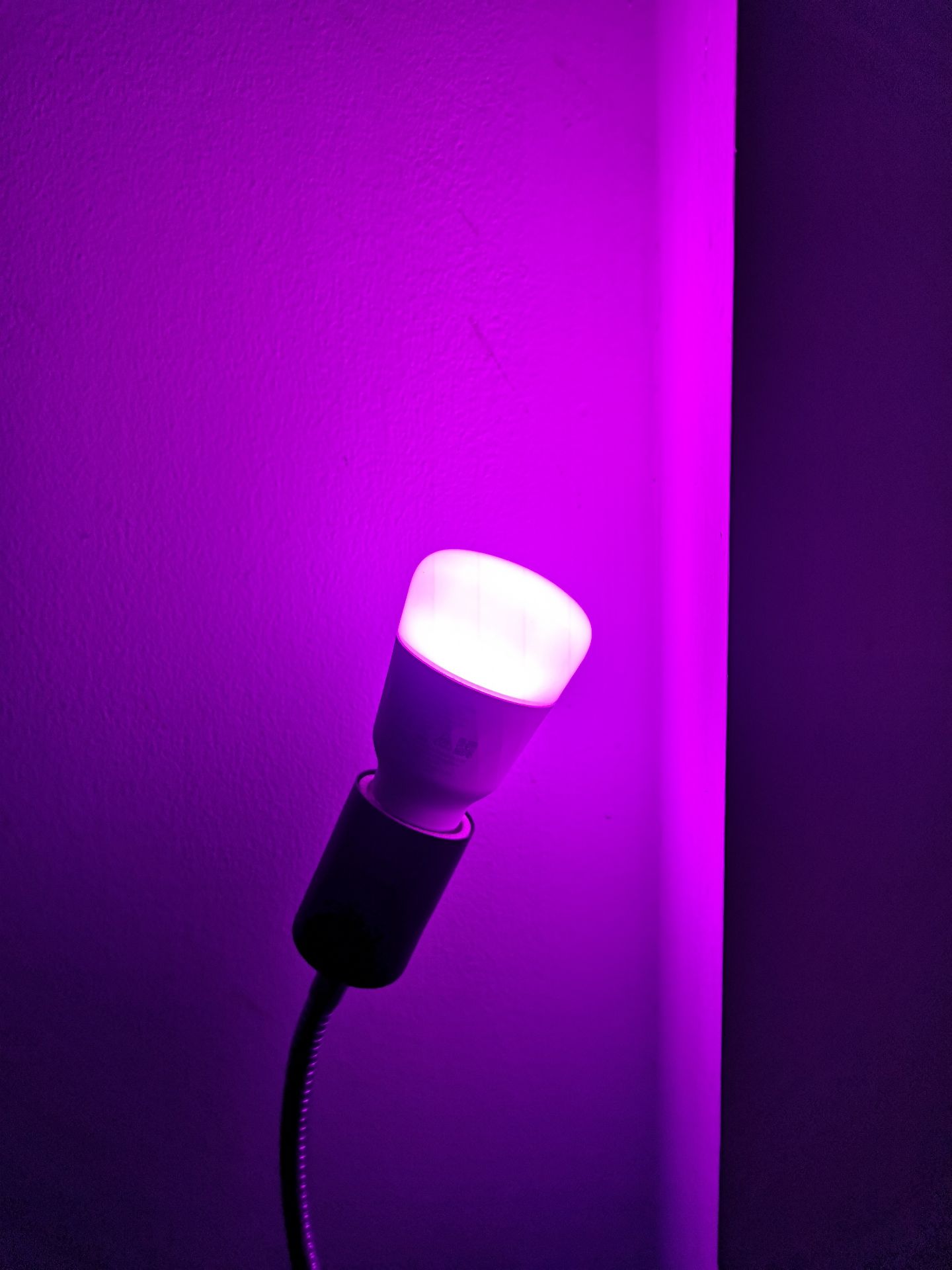 chất lượng đèn tốt, đóng gói cẩn thận, app dễ cài đặt và sử dụng