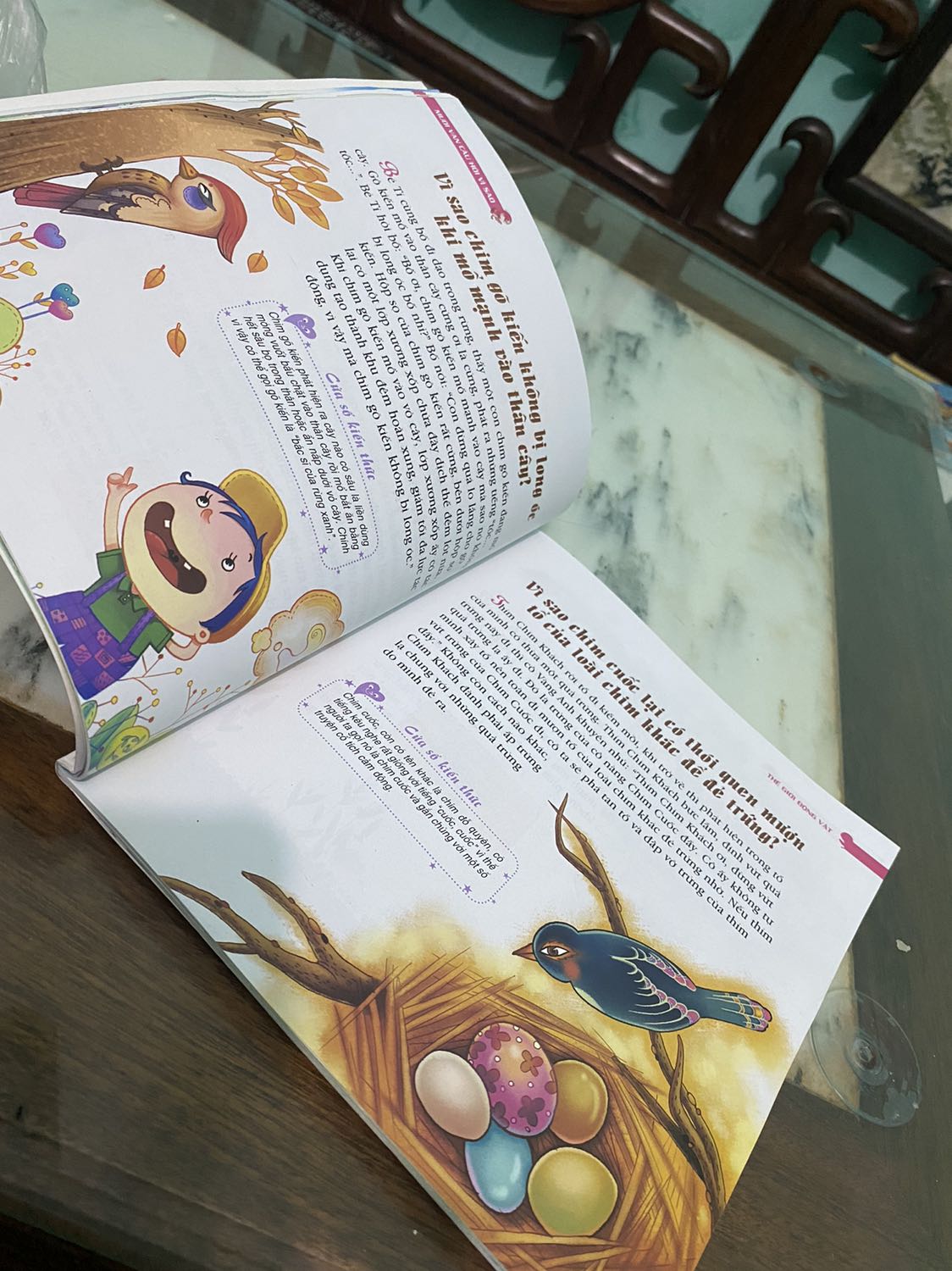 Bộ sách khổ lớn, được bọc rất cẩn thận, in màu 100% rất đẹp, nội dung cung cấp được những thông tin rất hữu ích cho các bé xoay xung quanh cuộc sống. Mong là sẽ có nhiều bộ sách thế này, giúp các bé hạn chế với điện thoại, tivi.
(Đợt này Tiki giao hàng chậm, hộp nát bét, may sách không bị hỏng)