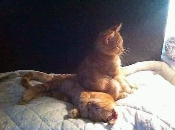 ảnh mang tính chất nhận xu, nhưng sản phẩm
thì ưng lắm, có thư cảm
ơn, có vít vặn ốc, hộp đóng gói kỹ càng, nhìn ưng cái bụng lắm. chắc chăn sẽ ủng hộ shop tiếp:)