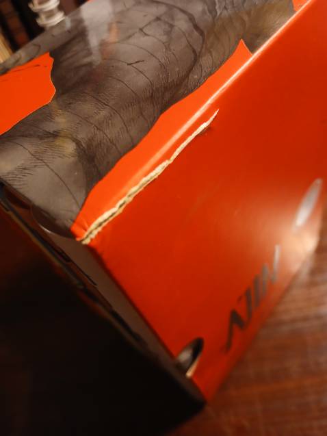 Bị rách một đường nhưng ko săn đc giá rẻ nên bỏ qua