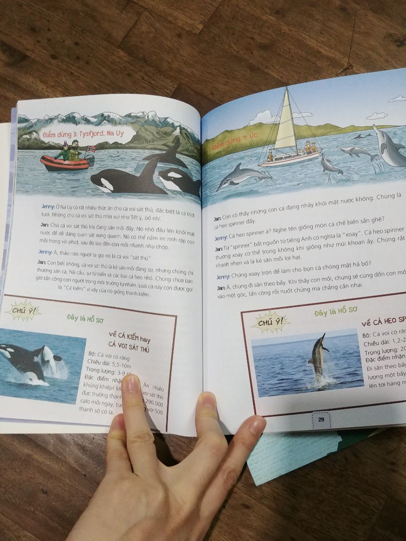 Sách hay, cho bé thêm nhiều kiến thức về cá heo
