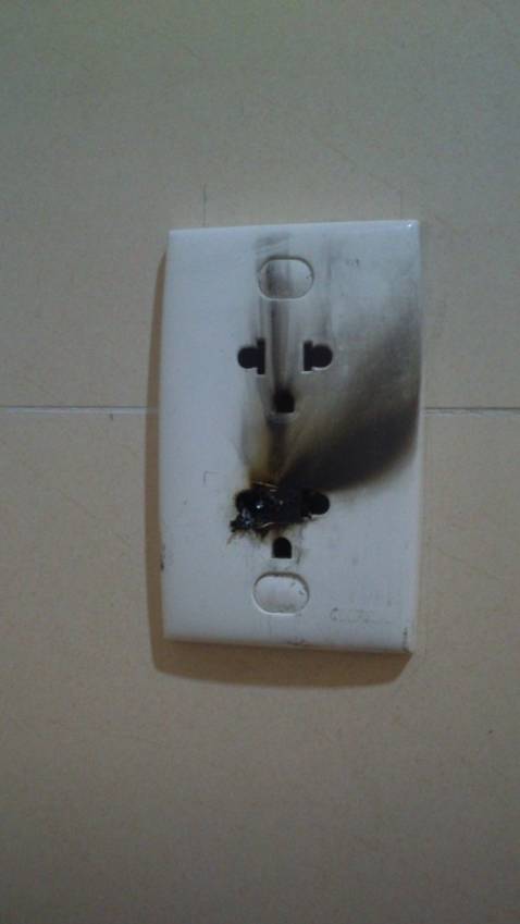 I plugged it in for a while and saw the smell of burning praise, so scared